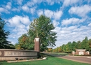 Lewis University