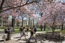College of Wooster