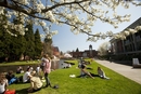 Willamette University