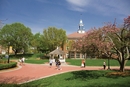 Western New England University