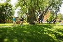 Briar Cliff University